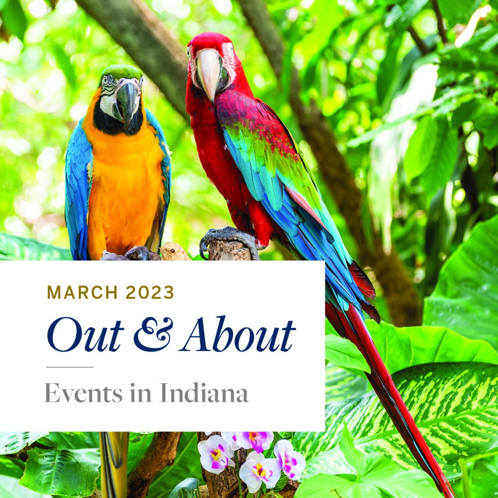 Out and About | March&nbsp;2023