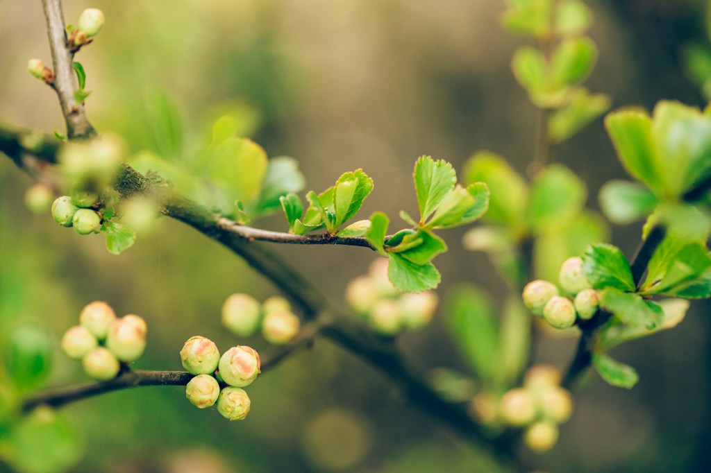 Out and About | March 2024