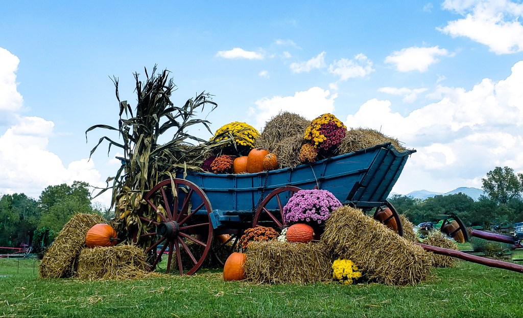 Local Pulse | October&nbsp;Events